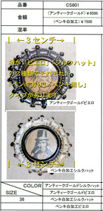 cs801_kaisetsu.jpg